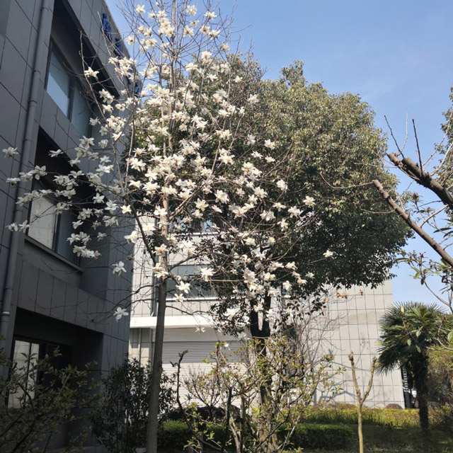 廠（chǎng）區環境